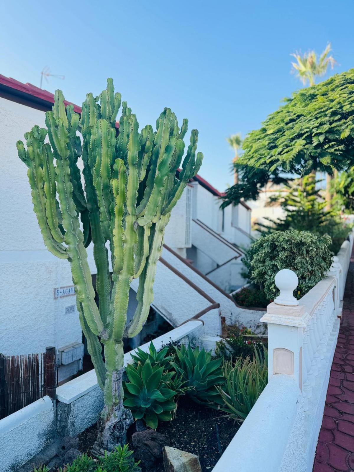 Miraverde Oasis - Heated Pool - Ac Appartement